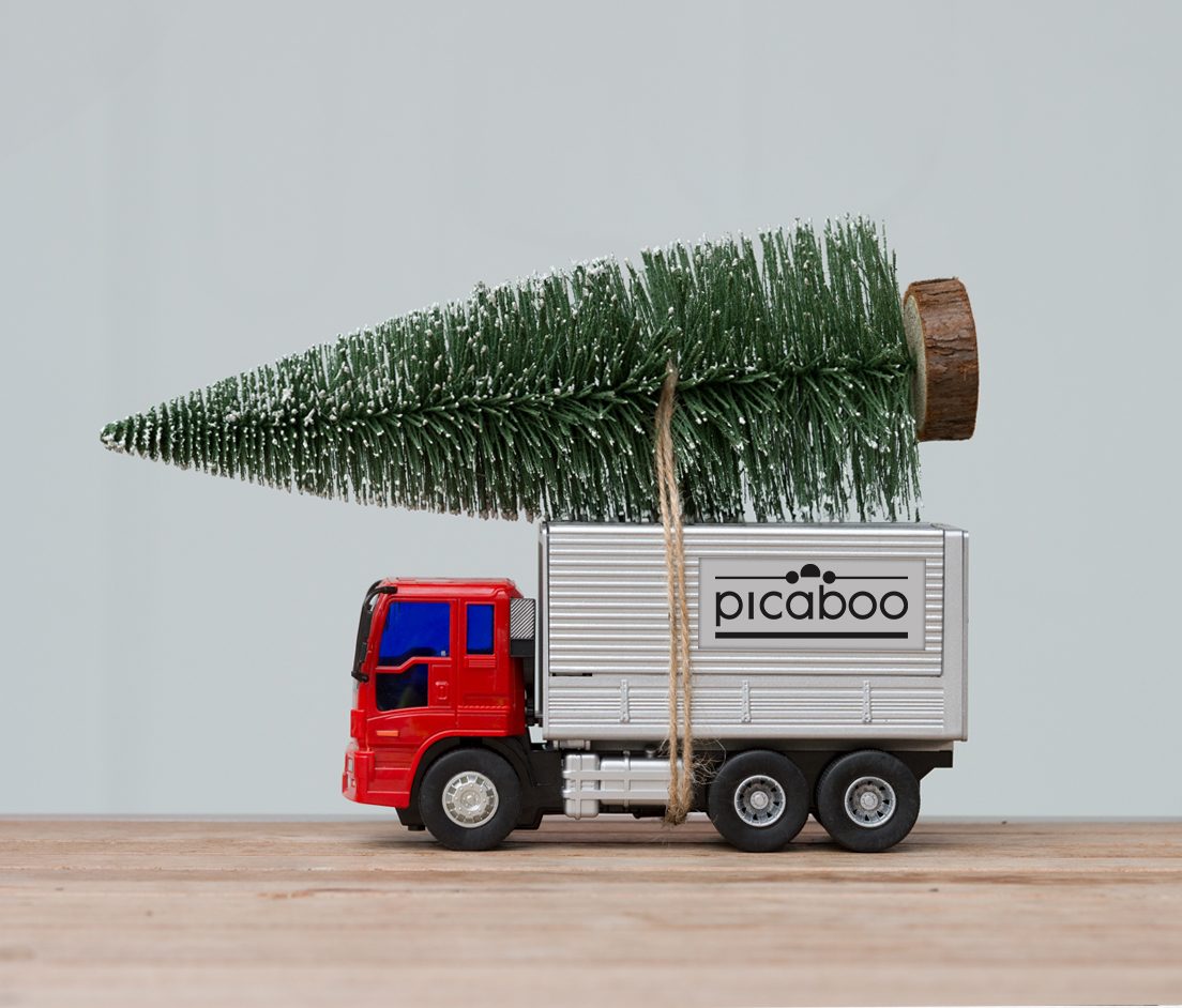 Toy transport truck with a tree tied to the top with Picaboo logo on the side